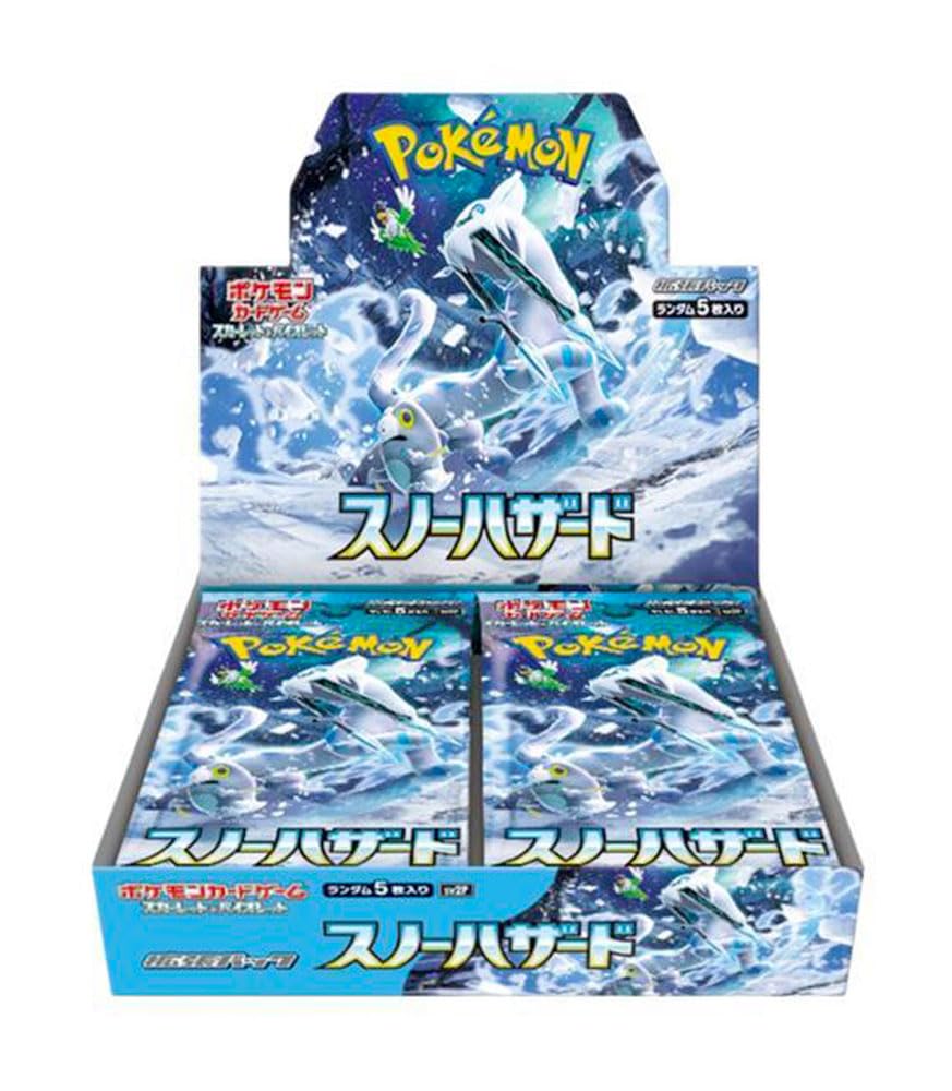 DISPLAY SNOW HASARD